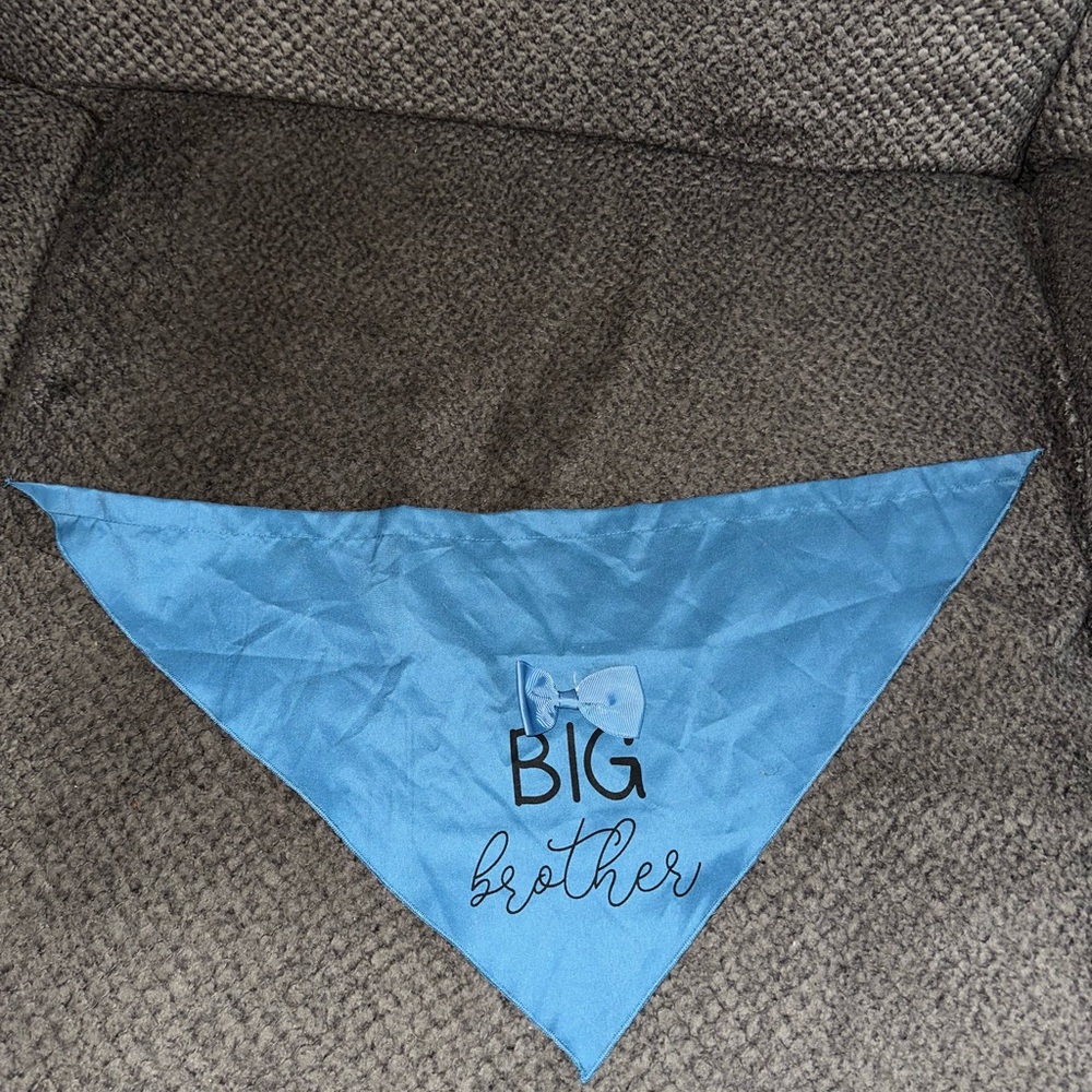 Blue "Big Brother" Bandana by Buttons & Bones